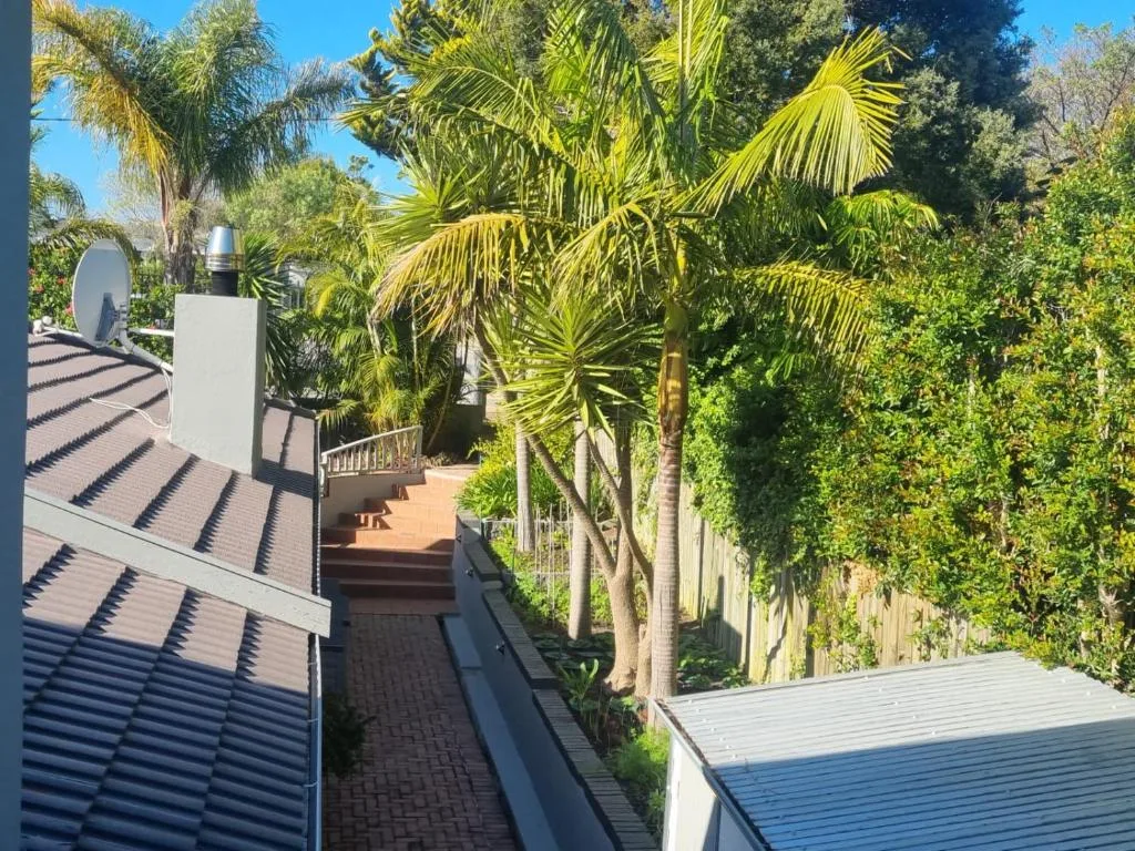 Modern property exterior with metal roofing, palm trees, and lush garden surroundings
