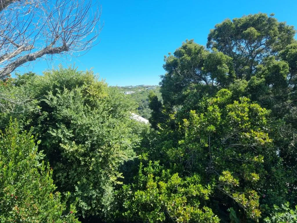 Lush green vegetation with distant hillside and clear blue sky