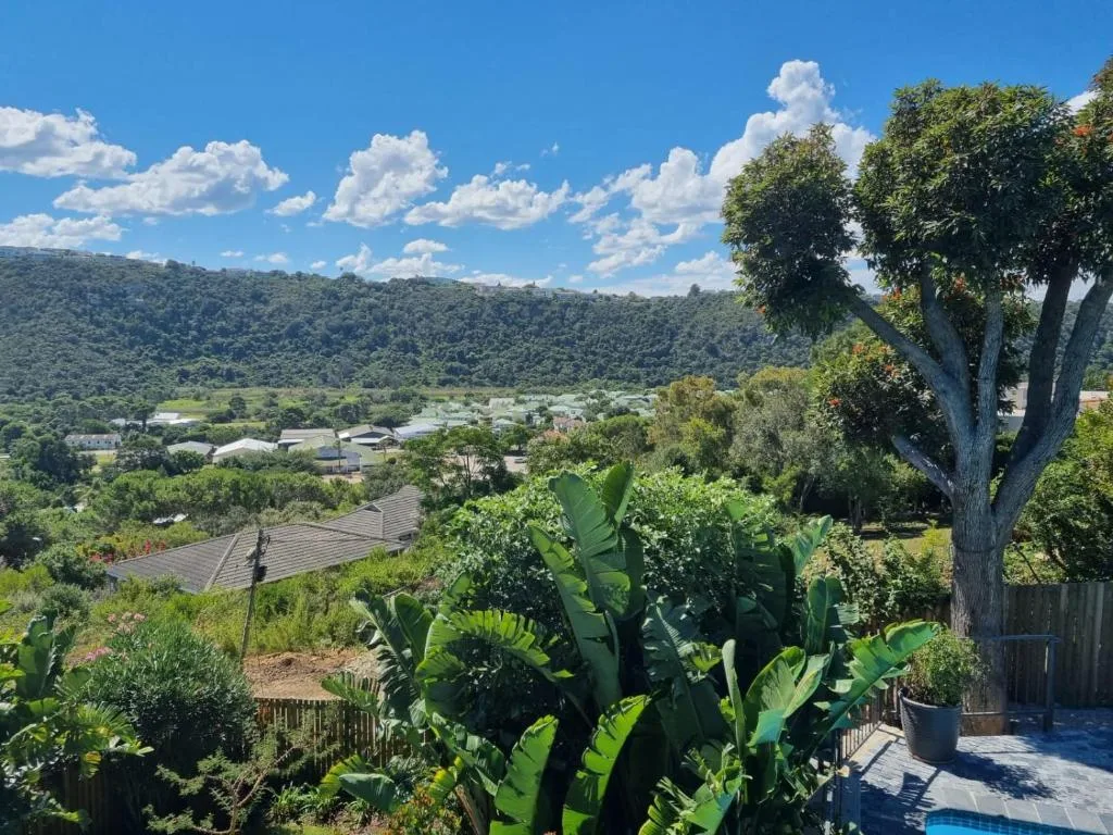 Lush forested hills and valley properties under blue sky with white clouds