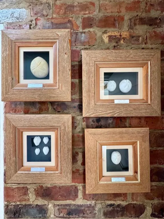 Four framed moon phase prints displayed on rustic brick wall