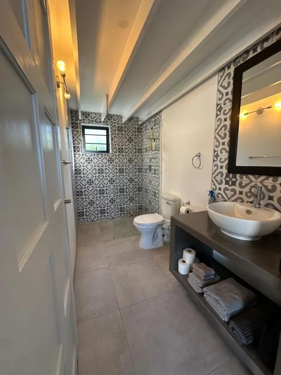 Modern bathroom with patterned tile shower, white vessel sink, toilet and dark vanity