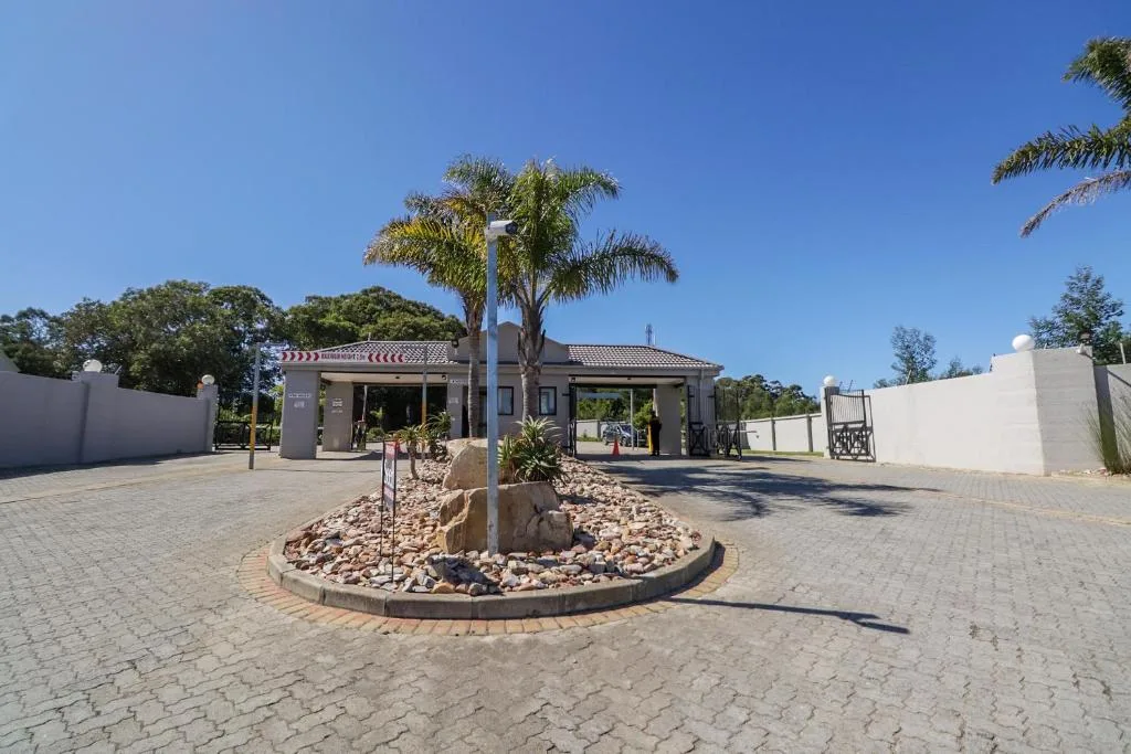 Modern villa entrance with palm tree landscaping and paved driveway