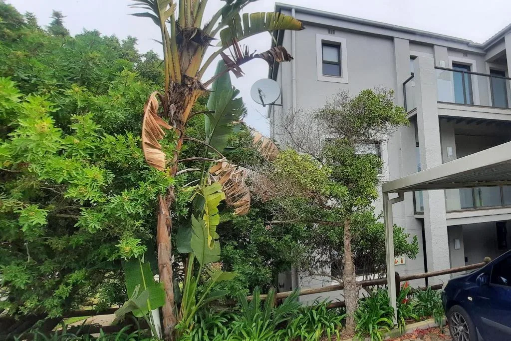 Modern white apartment building with lush tropical gardens and banana plant