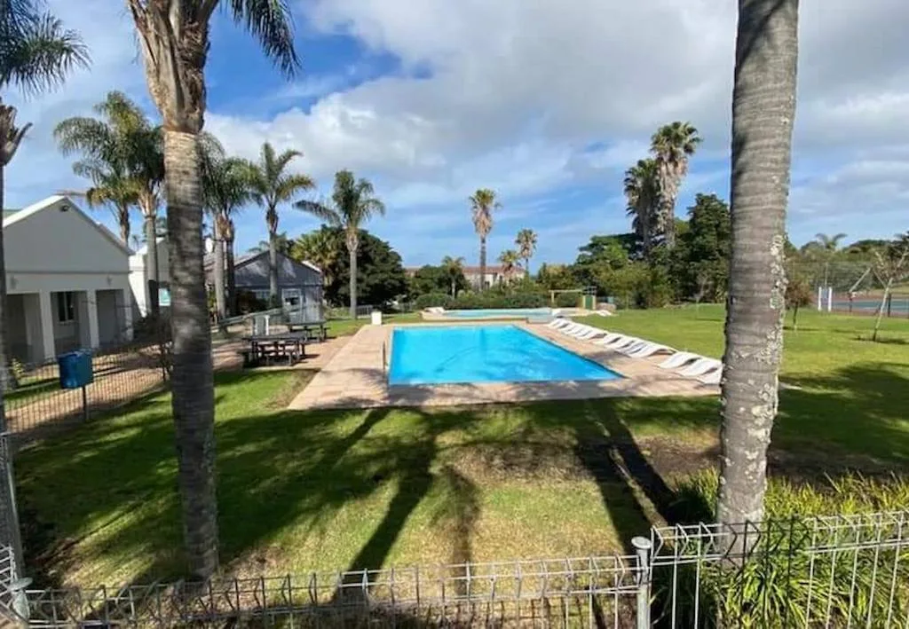 Rectangular swimming pool with lounge chairs surrounded by lush green lawns and palm trees
