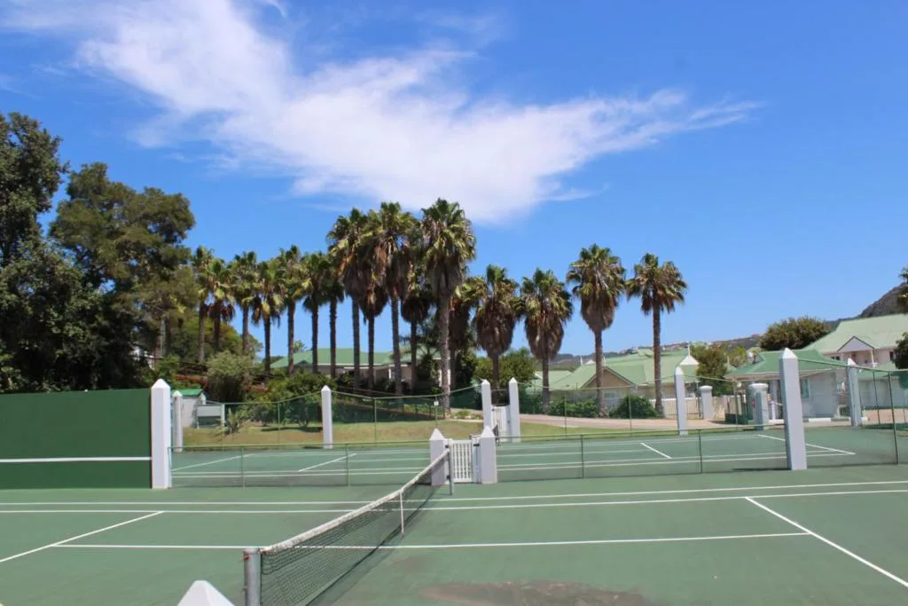 Tennis courts with palm trees and garden route landscape backdrop