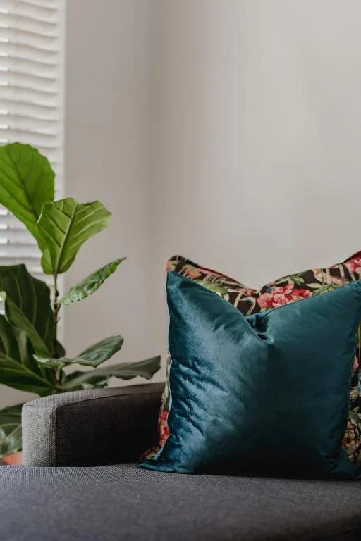 Teal velvet cushion and potted plant on gray sofa