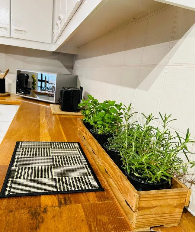 Modern kitchen counter with wooden surface and fresh herb plants in wooden planter
