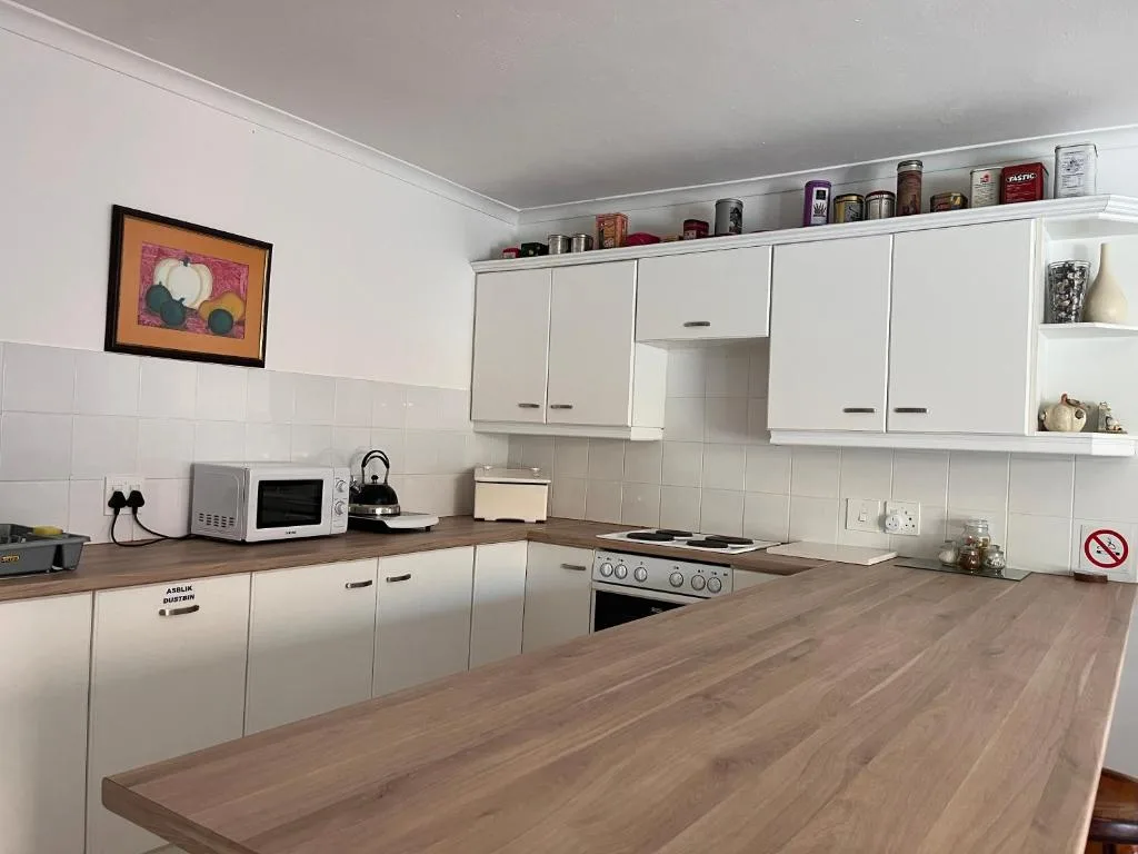 Modern kitchen with white cabinetry, wooden countertop, and stainless steel appliances