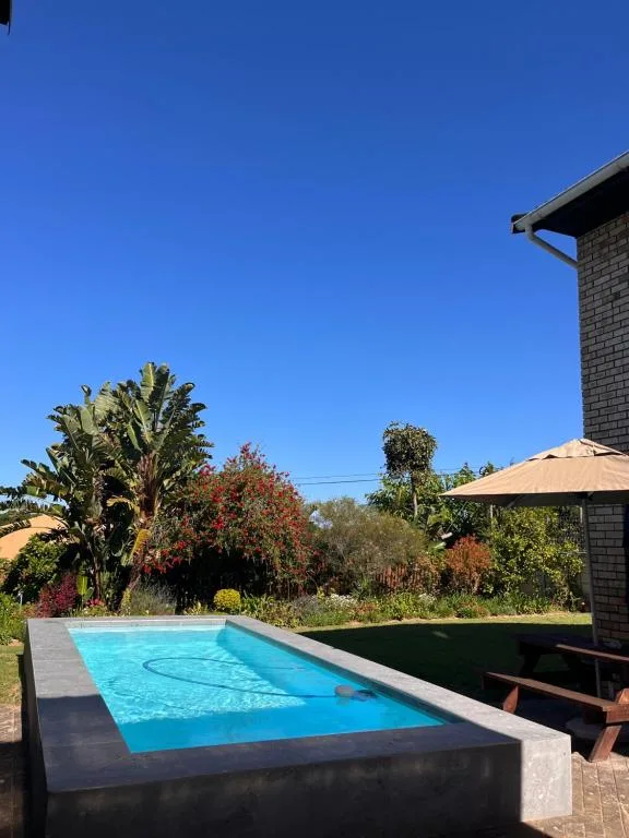Rectangular swimming pool with clear blue water and surrounding garden landscape
