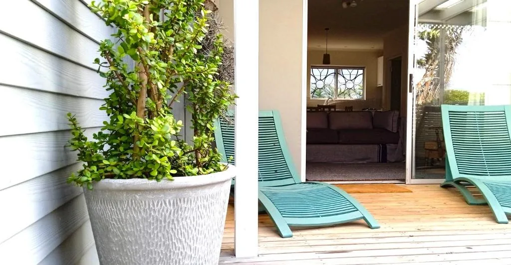 Wooden deck with turquoise loungers and potted plants near entrance