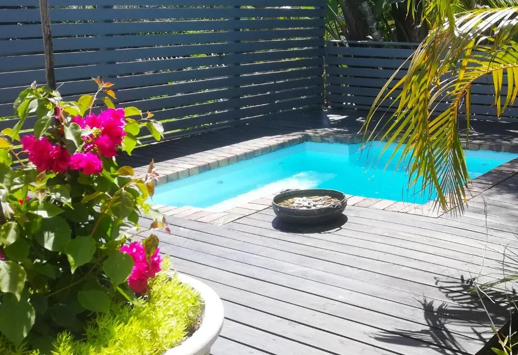 Turquoise swimming pool with wooden deck, vibrant pink flowers, and tropical plants