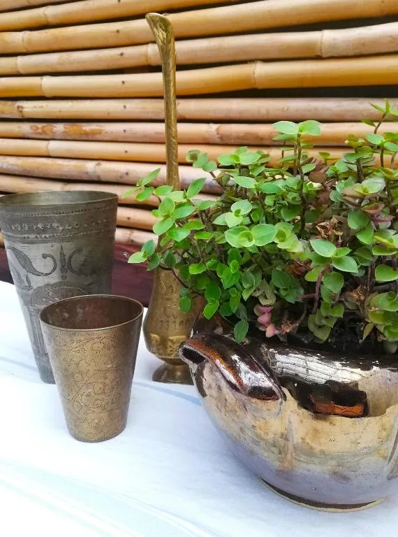 Rustic metal planters with green foliage against bamboo backdrop decoration