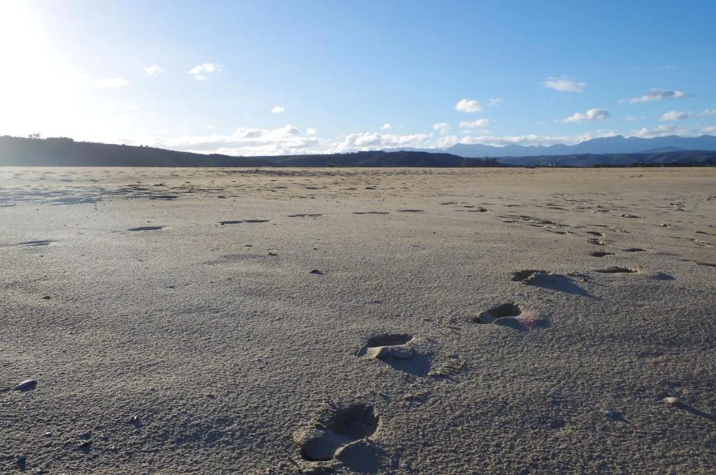 Scenic beach vista with mountains and blue sky beyond