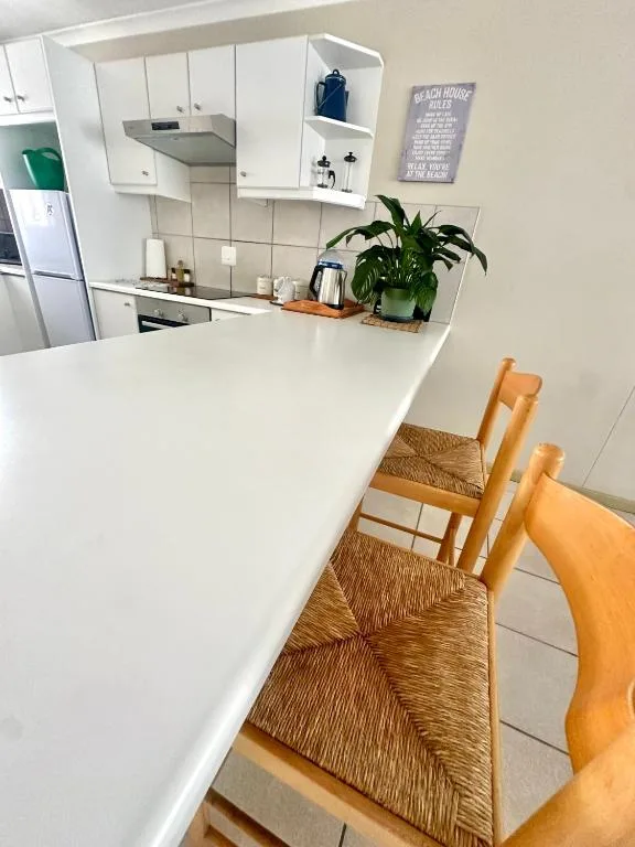 Modern kitchen with white cabinetry, stove, and potted plant on counter