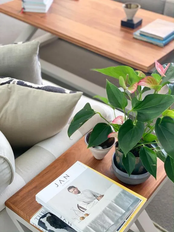 Living room with sofa, potted plant, wooden table, and magazines