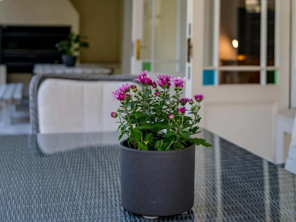 Pink flowers in pot on table inside modern accommodation