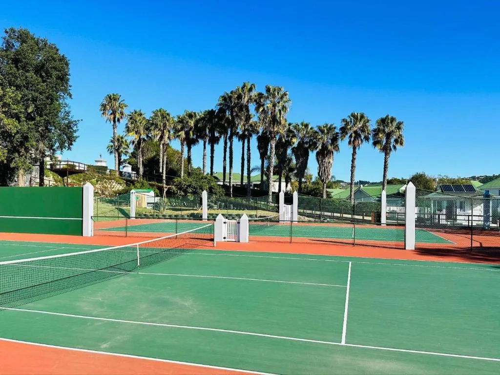 Tennis courts with palm trees and manicured grounds under clear blue sky