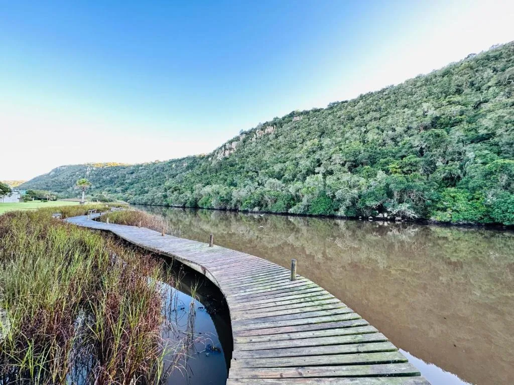 Scenic lagoon view with wooden jetty, forested hills, and clear blue sky