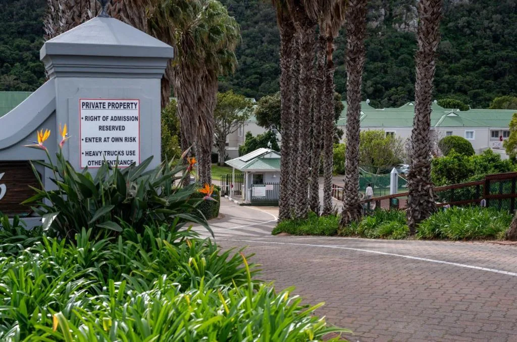 Property entrance with palm trees, signage, and tree-lined driveway approach