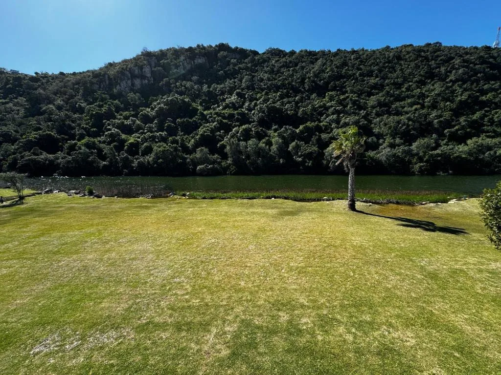 Scenic river lagoon framed by forested mountains and manicured lawn