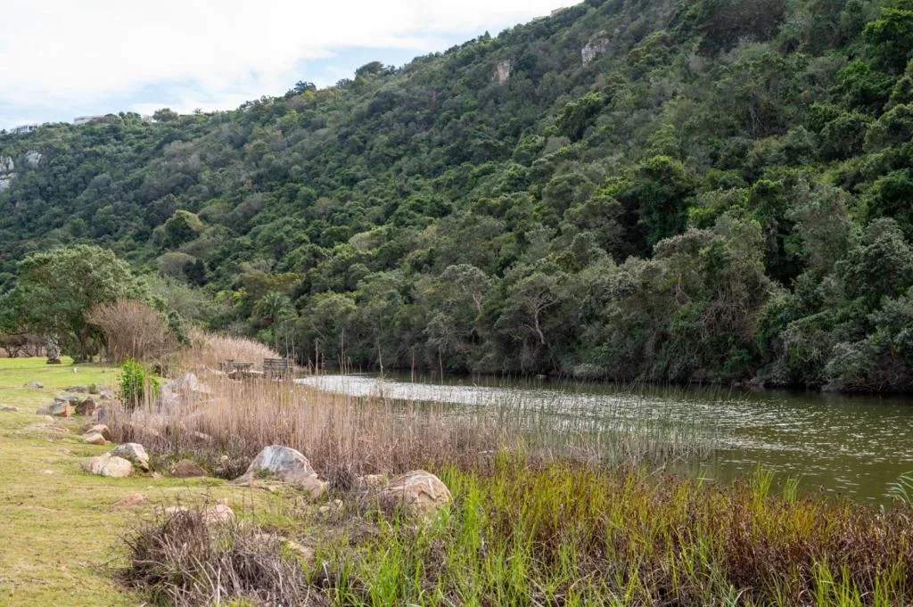 Scenic river view with forested mountains and green hillside landscape