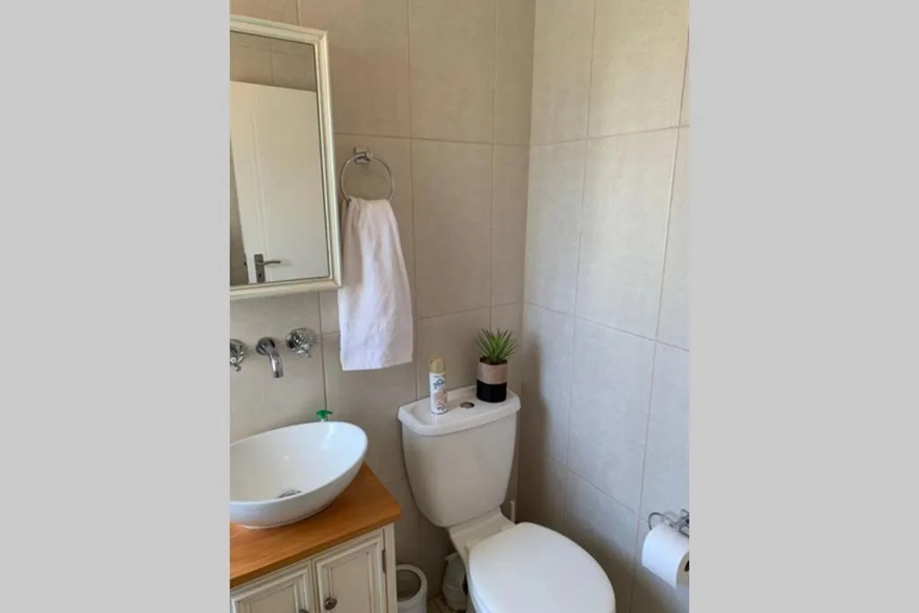 Clean bathroom with round sink, toilet, mirror, and potted plant decor