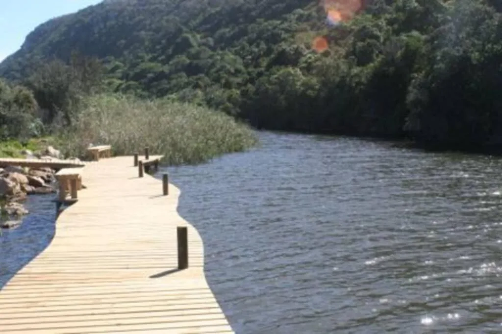 Wooden boardwalk extending along river with mountain views and vegetation