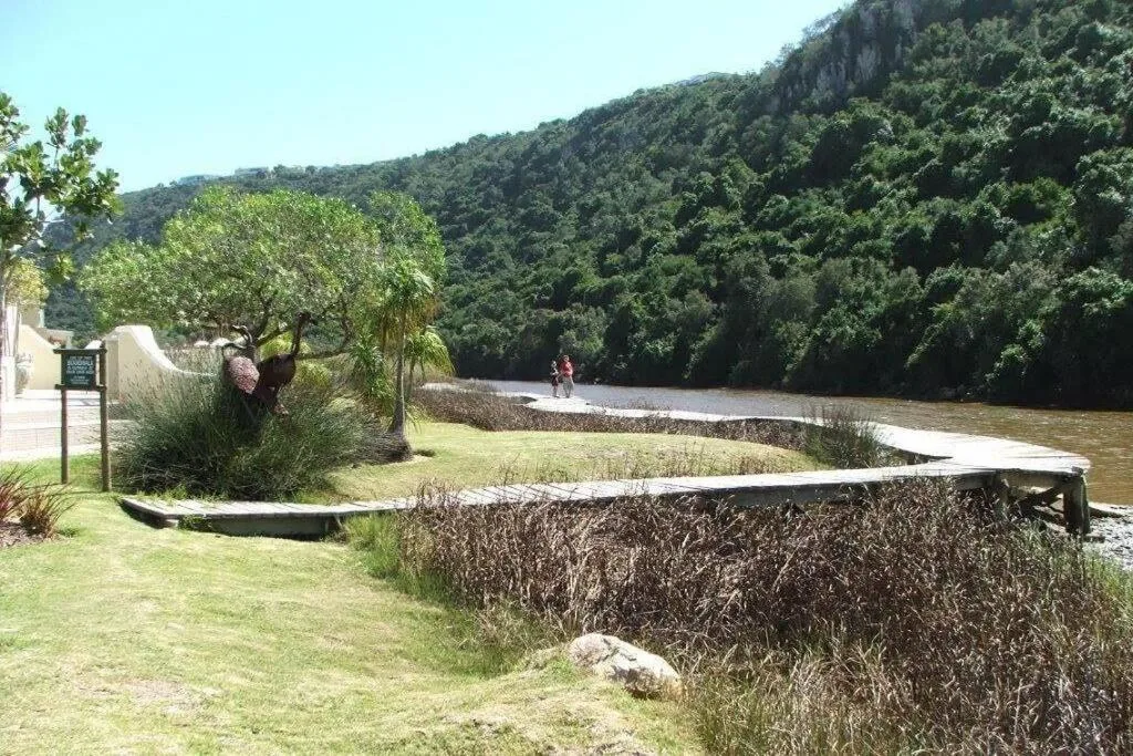 Scenic river landscape with forested cliffs and lush green gardens