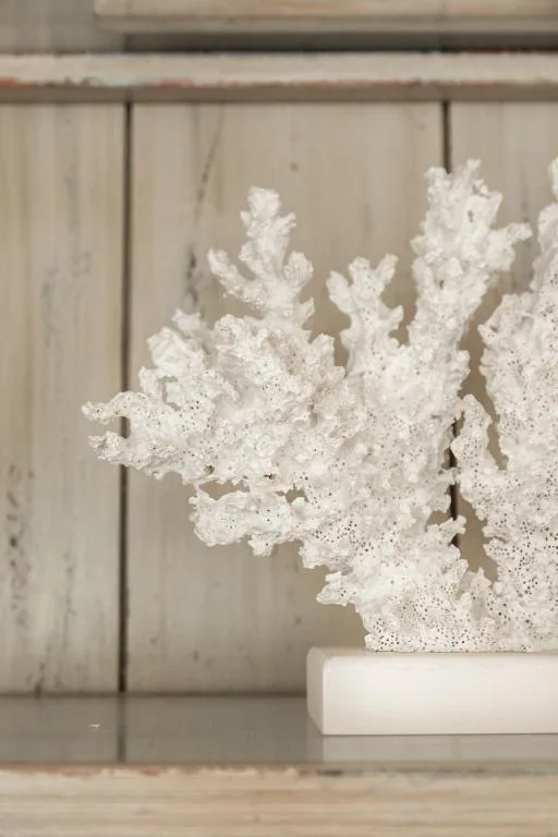 White decorative coral sculpture in ceramic pot on wooden shelf