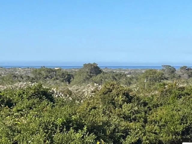 Ocean horizon visible beyond lush green vegetation and trees