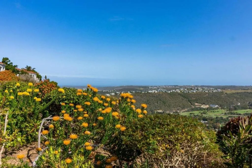Scenic coastal valley view with yellow wildflowers and distant ocean horizon