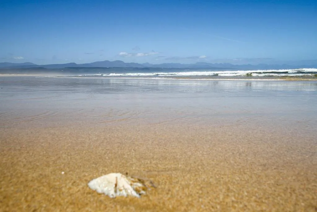Pristine beach with mountains visible across calm waters and horizon