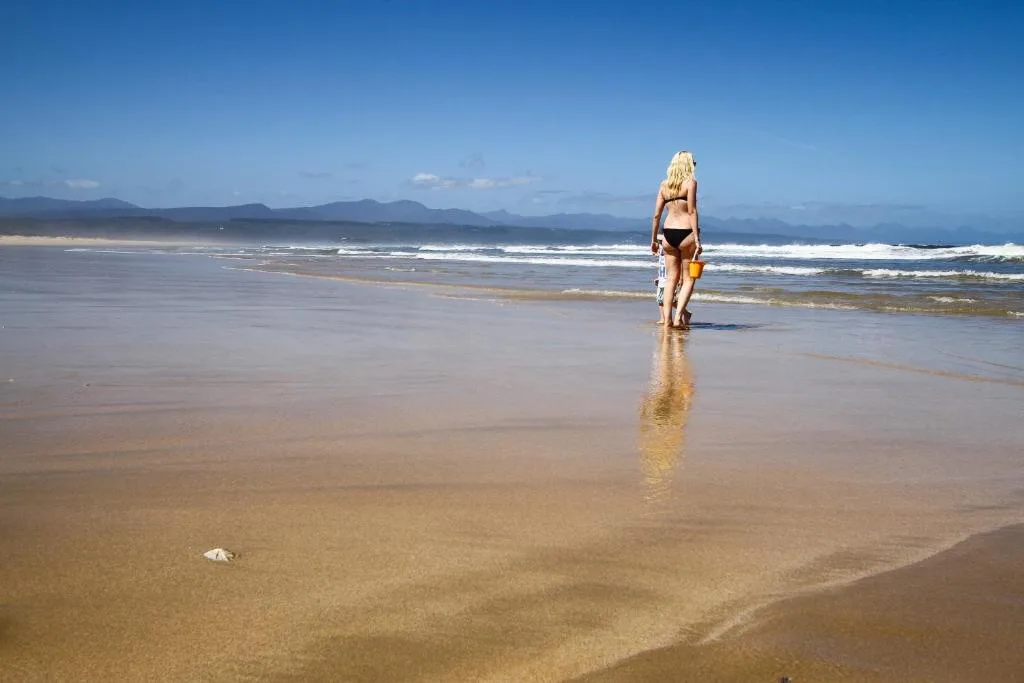 Expansive beach view with surfer, mountains, and pristine coastline in distance