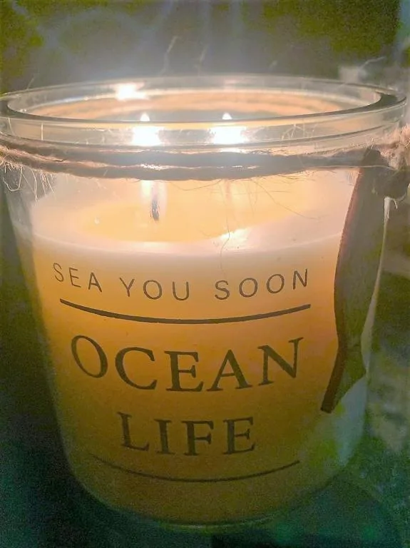 Scented candle labeled Sea You Soon Ocean Life with burning wick