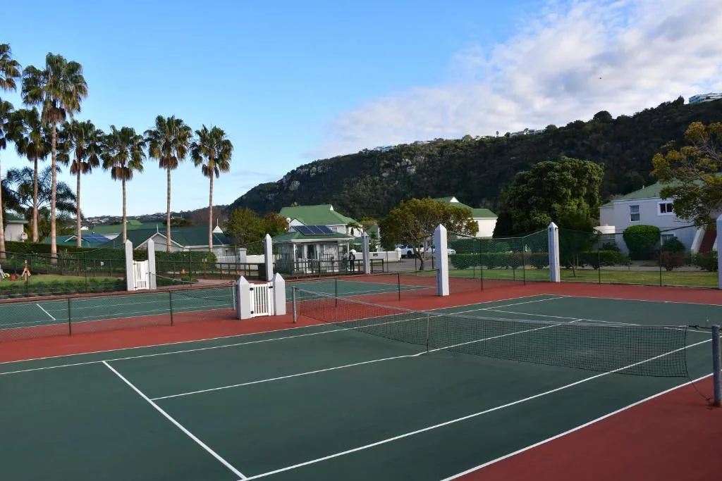 Tennis courts with mountain backdrop and palm trees at property