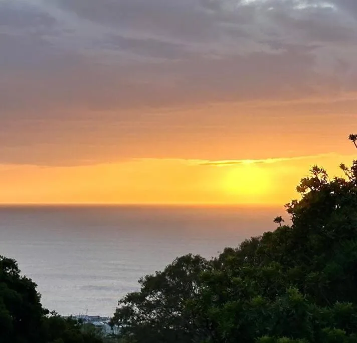 Golden sunset over calm ocean horizon with coastal vegetation silhouettes