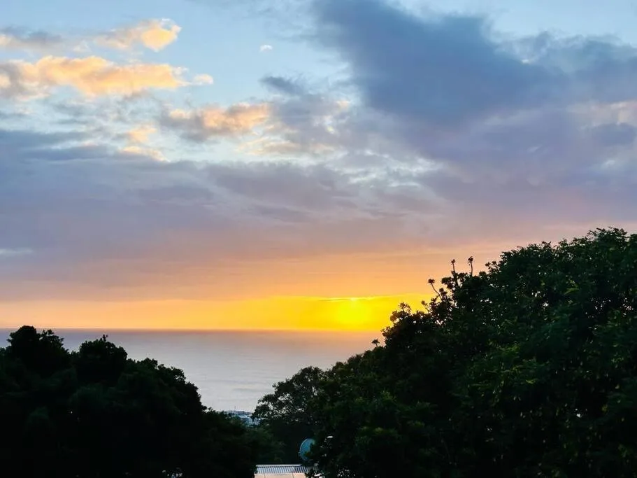 Dramatic sunset over the ocean with golden sky and silhouetted trees