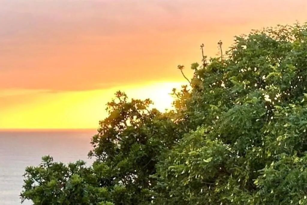 Golden sunset over ocean with lush green vegetation in foreground