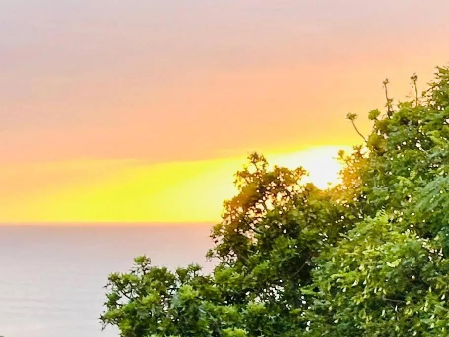 Stunning sunset over the ocean with lush green vegetation in foreground