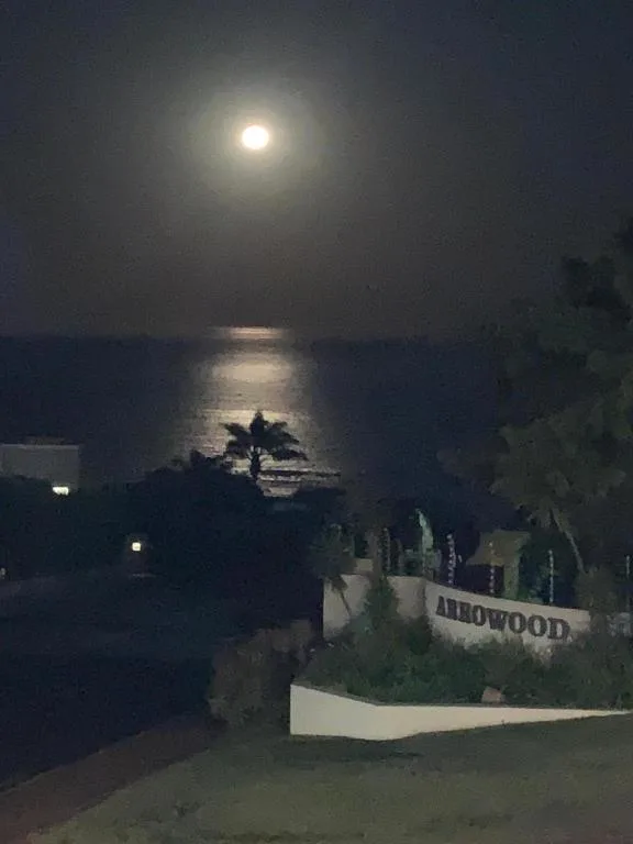 Moonlit ocean view with silhouetted palm trees and property signage