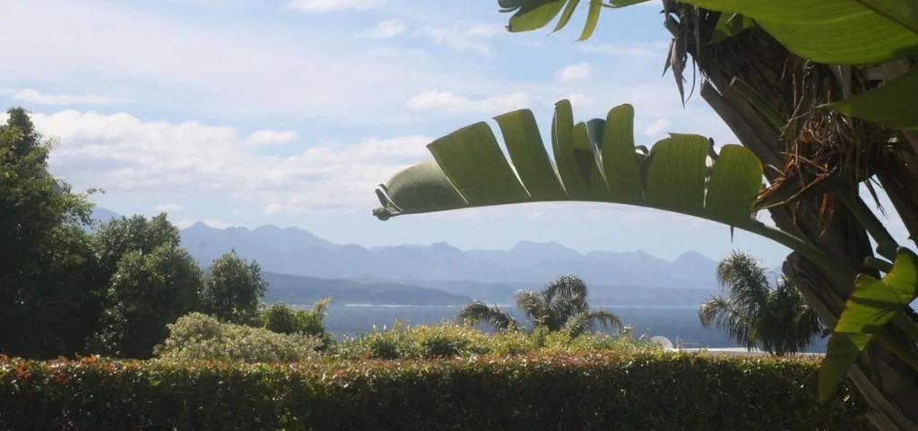 Mountain range and ocean visible beyond lush tropical garden foliage