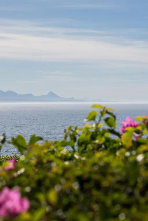 Ocean view with distant mountains framed by flowering garden shrubs