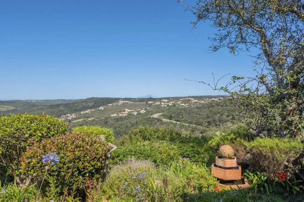 Scenic valley landscape with scattered homes nestled among forested hills