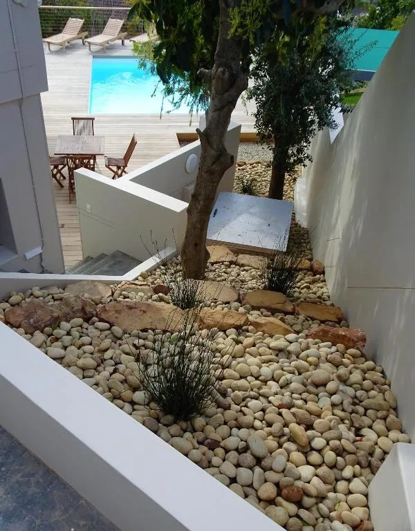 Modern poolside deck with lounge chairs, turquoise pool, and native landscaping