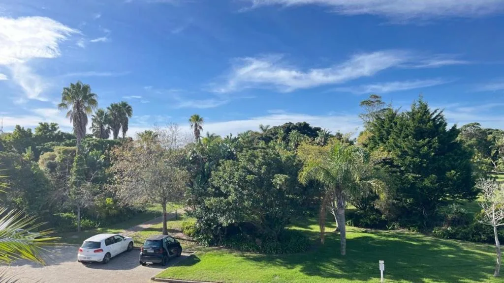 Driveway with parked cars, lush green gardens, palm trees, blue sky