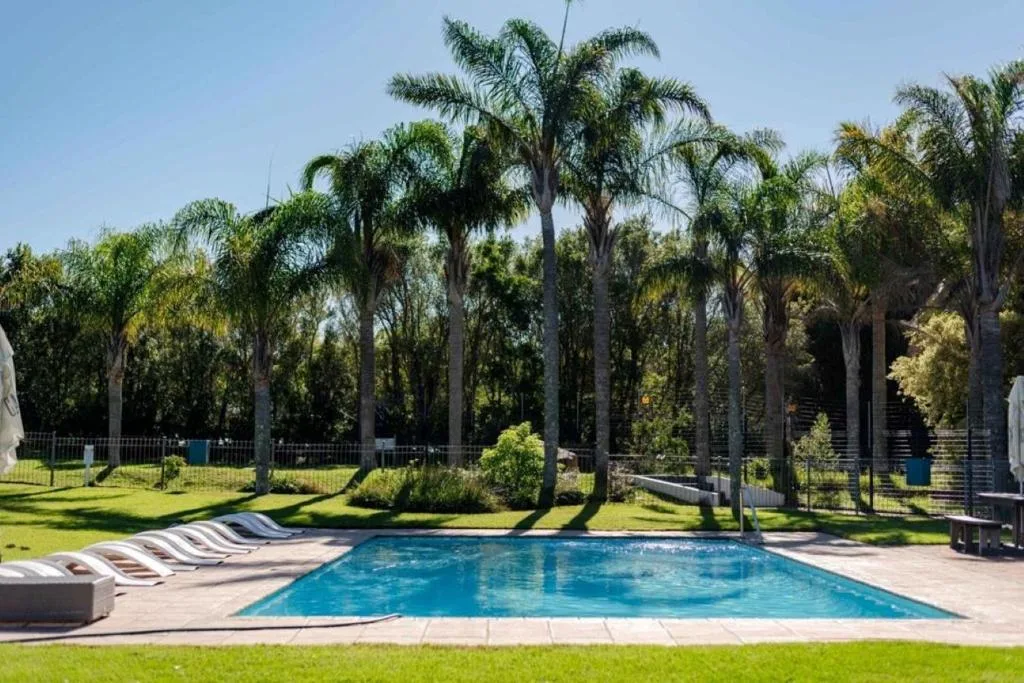 Swimming pool surrounded by palm trees and manicured gardens with loungers
