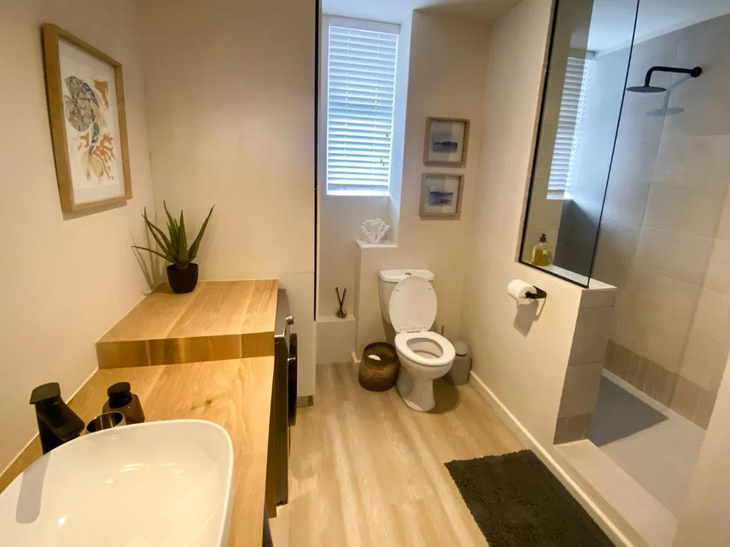 Modern bathroom with vanity, toilet, and walk-in shower enclosure