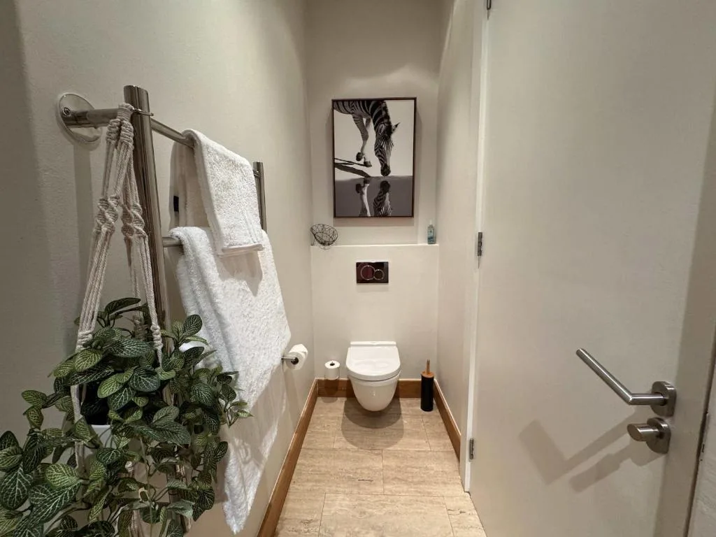 Modern bathroom with white toilet, towel rail, and decorative plant