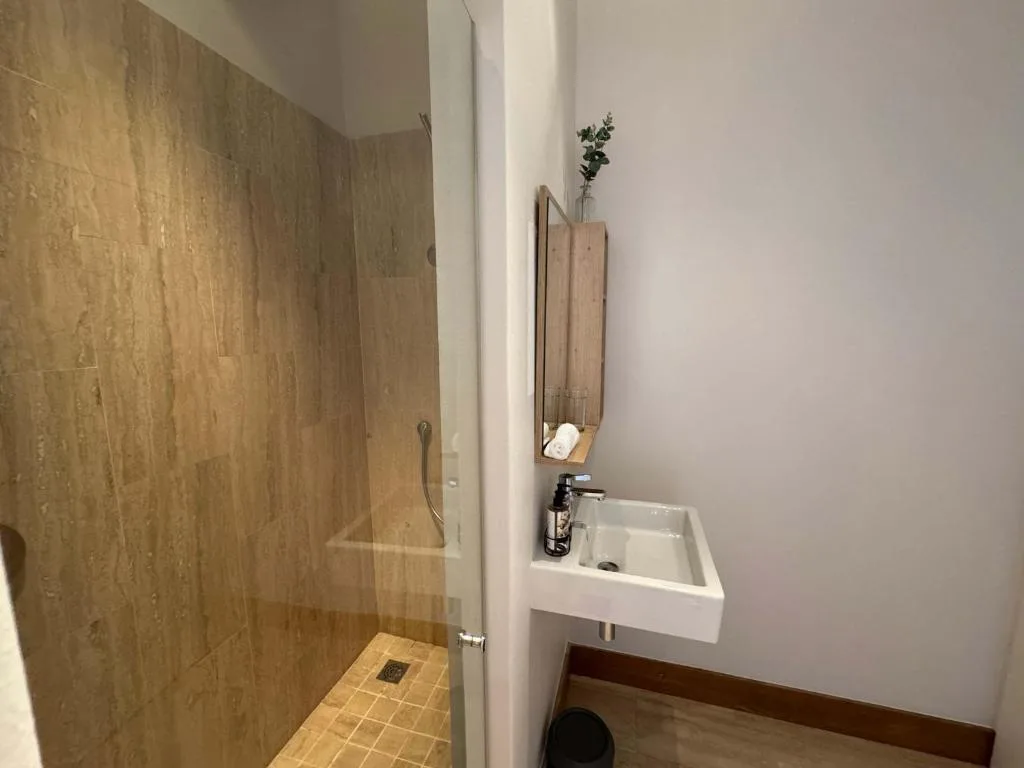 Modern bathroom with walk-in shower, white vanity sink, and natural decor accents