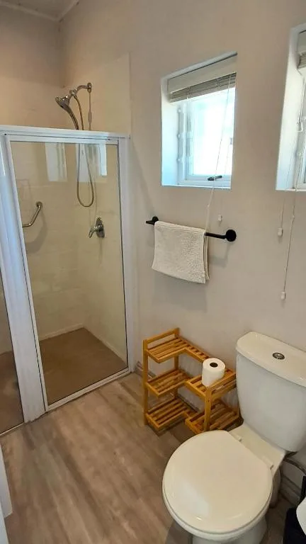Bathroom with glass shower enclosure, toilet, and wooden shelf storage